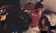 The Duc or the babe?